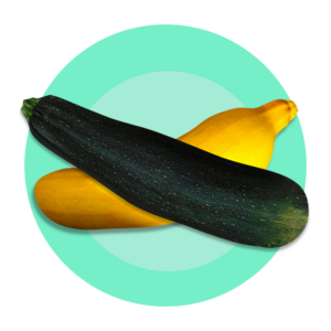 Courgette