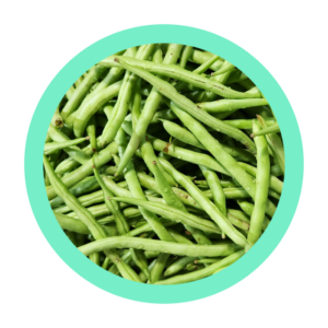 Haricots