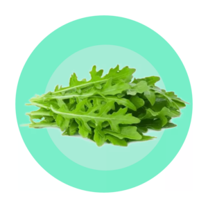 Roquette