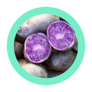 Pomme de terre Bleu d'Artois